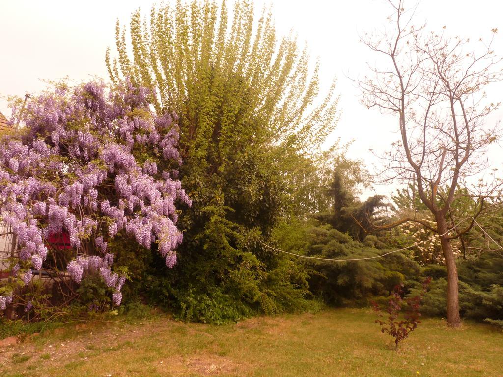 Dobo Tanya Βίλα Roszke Εξωτερικό φωτογραφία