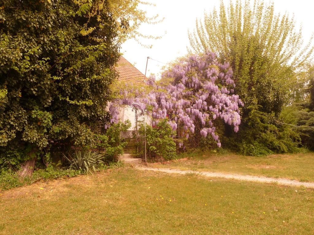 Dobo Tanya Βίλα Roszke Εξωτερικό φωτογραφία